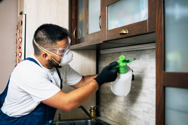 Best Bed Bug Extermination  in Greensboro, AL