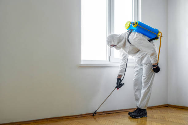 Best Local Pest Control Services  in Greensboro, AL