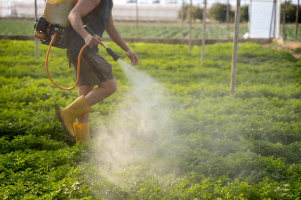 Best Pest Removal Services  in Greensboro, AL