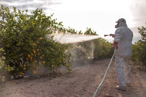 Best Insect Control  in Greensboro, AL