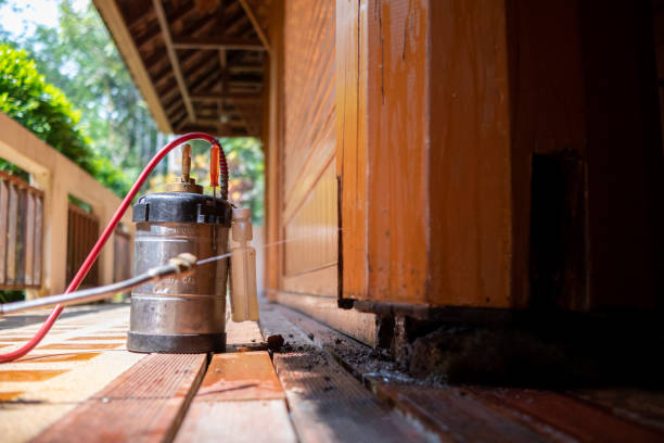 Best Exterminator Services  in Greensboro, AL