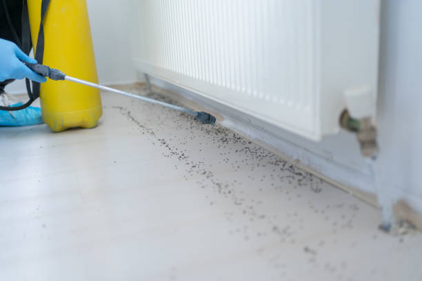 Pest Prevention Services in Greensboro, AL