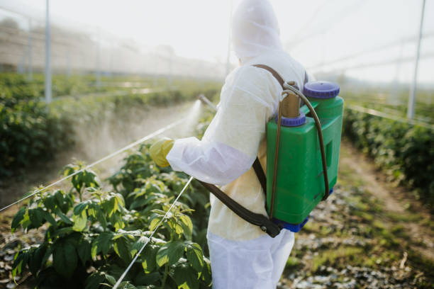 Best Insect Control  in Greensboro, AL